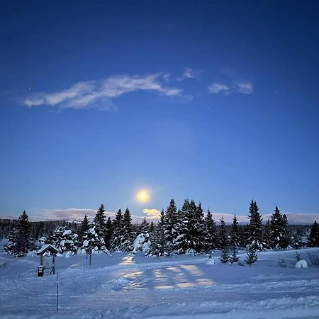 Nordseter Fjellpark, Hyttegrend Dış mekan fotoğraf