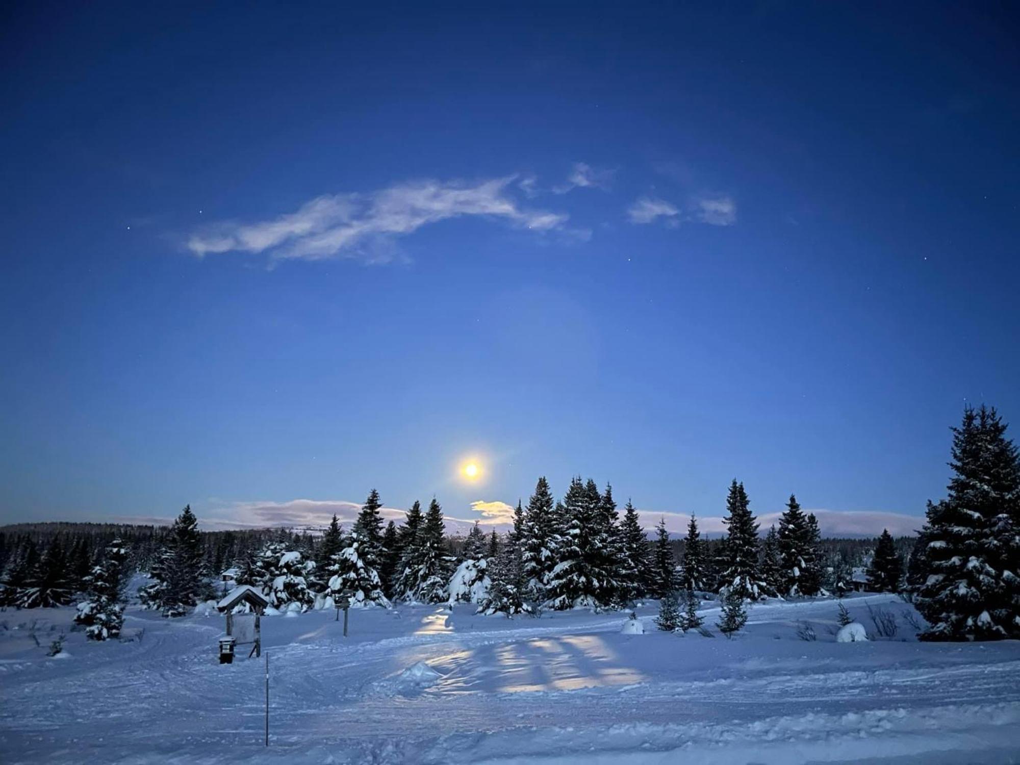 Nordseter Fjellpark, Hyttegrend Dış mekan fotoğraf